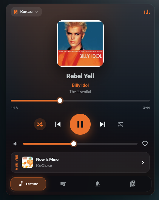 HOLM Music Card : Music Assistant dans une seule carte