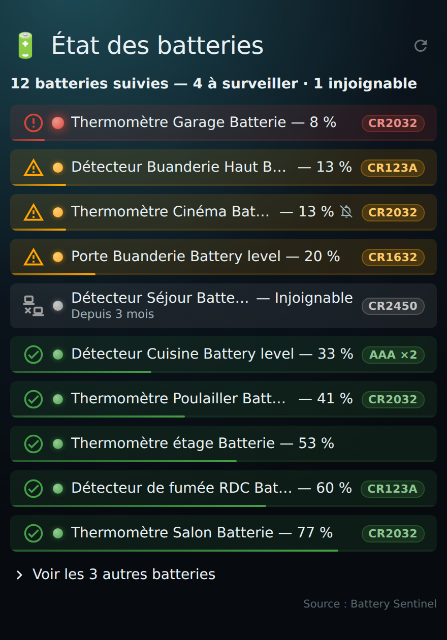 HOLM Sentinel Card : toutes les piles de la maison en un coup d&rsquo;œil